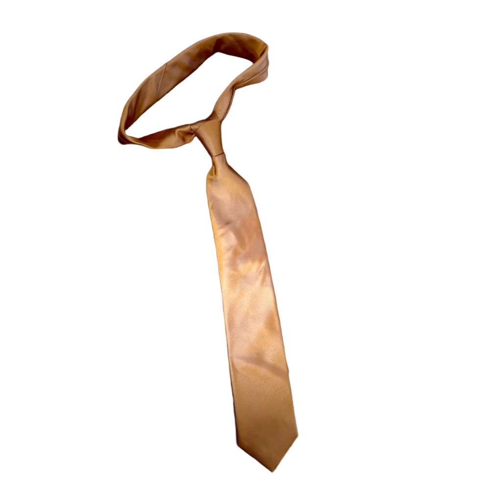 Elegant Orange Tie